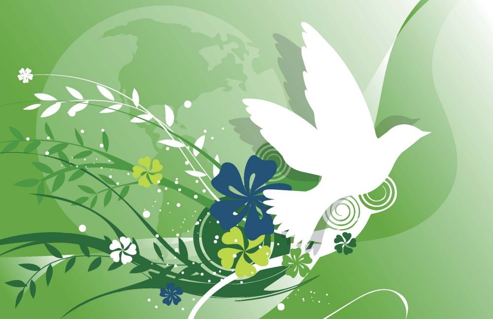 Women is Bigger than What Feminism Can Offer